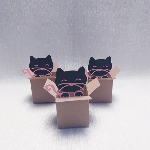 Caixa Mudança Gatinho