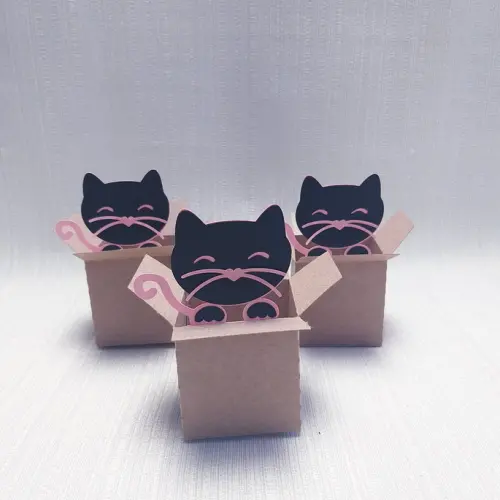 Caixa Mudança Gatinho