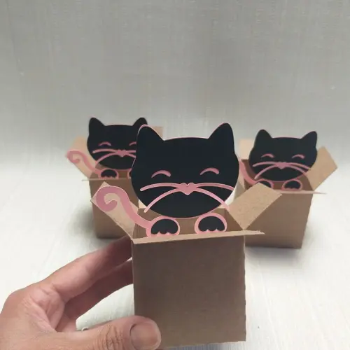 Caixa Mudança Gatinho