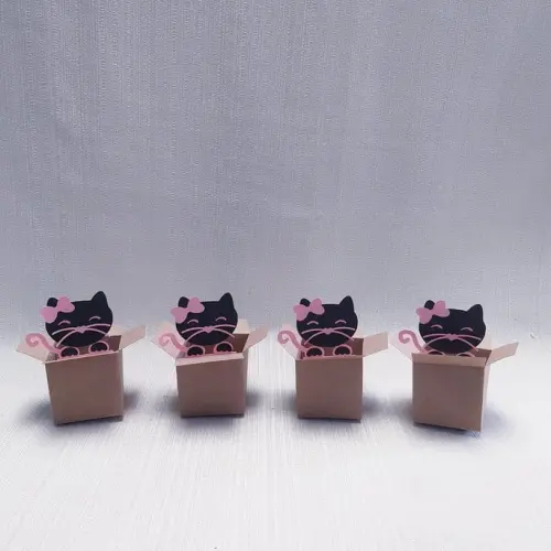 Caixa Mudança Gatinho