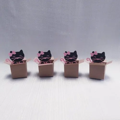 Caixa Mudança Gatinho