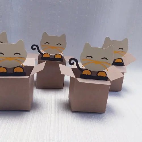 Caixa Mudança Gatinho