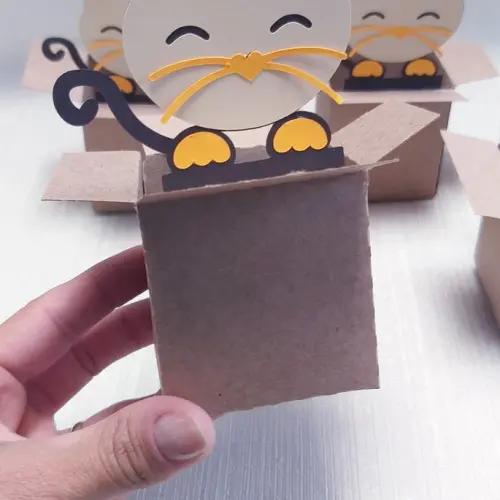 Caixa Mudança Gatinho