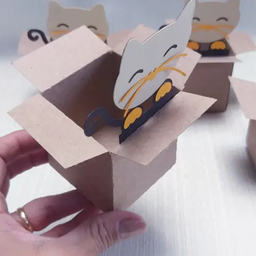 Caixa Mudança Gatinho