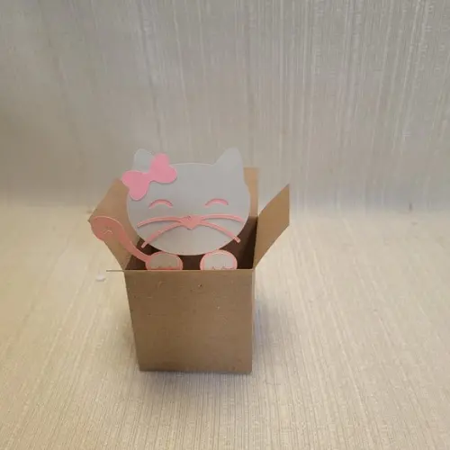 Caixa Mudança Gatinho Cinza com Rosa