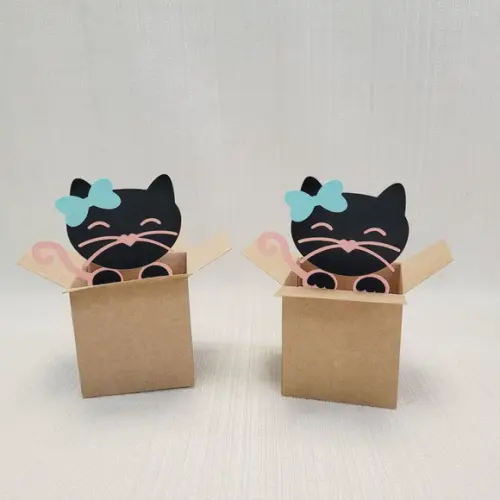 Caixa Mudança Gatinho