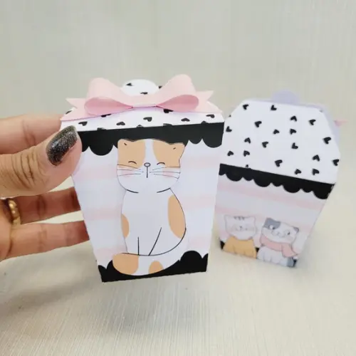Caixa Sushi Gatinho