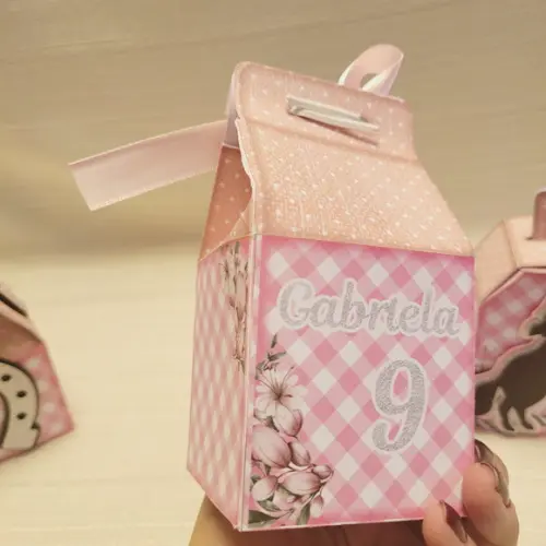 Caixa Milk Boiadeira