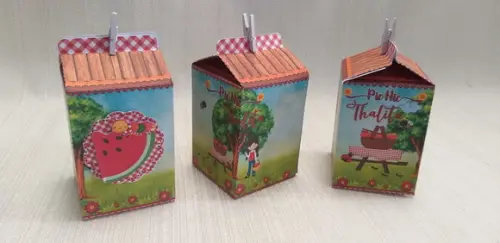 Caixa Milk Pic Nic