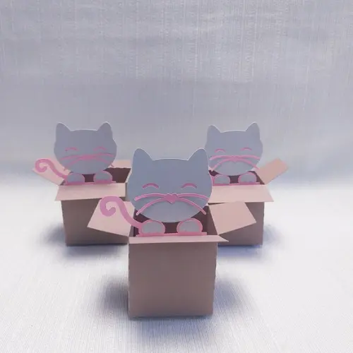 Caixa Mudança Gatinho
