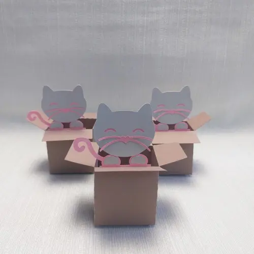 Caixa Mudança Gatinho