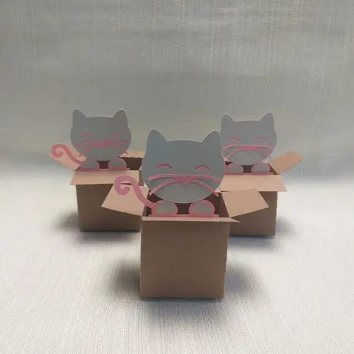 Caixa Mudança Gatinho