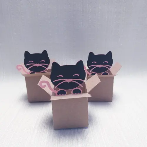 Caixa Mudança Gatinho