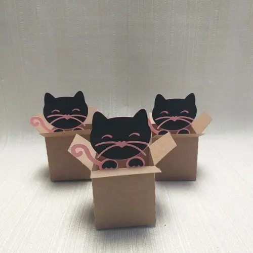 Caixa Mudança Gatinho