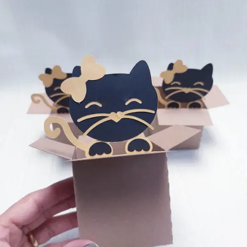 Caixa Mudança Gatinho com Lacinho