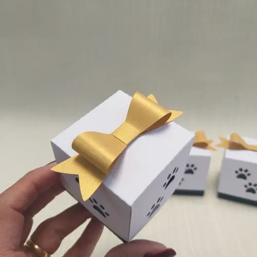 Caixa Pandinha