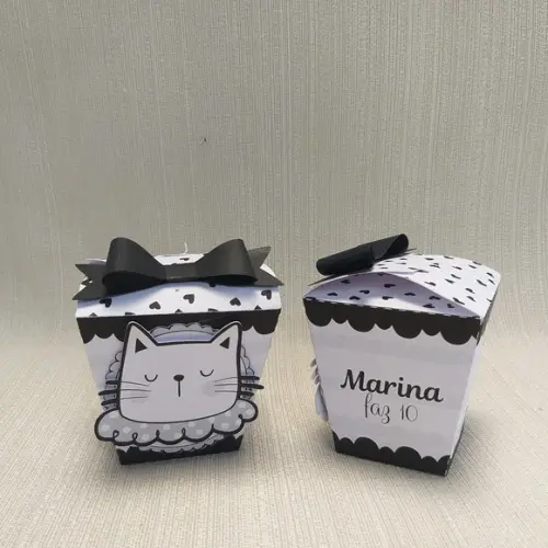 Caixa Sushi Gatinho