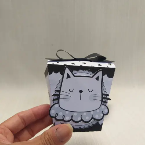 Caixa Sushi Gatinho