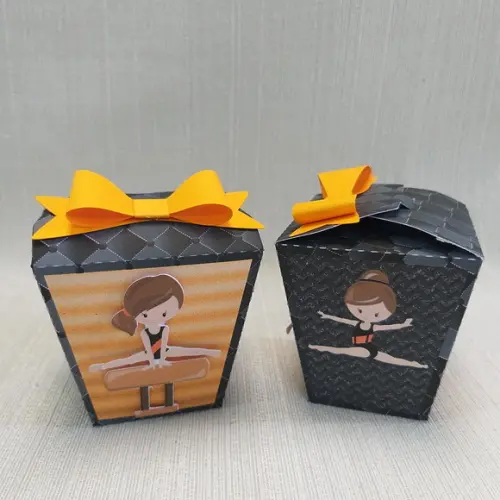 Caixa Sushi Ginastica Artistica