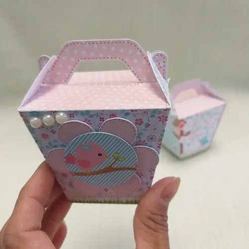 Caixa Sushi Passarinhos