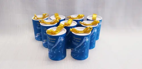 Cofrinho Cinderela