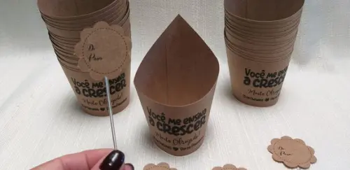 Embalagem para suculenta