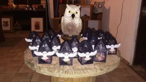 Gaiolinha Coruja Harry Potter