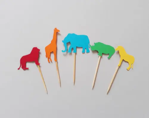 Safari