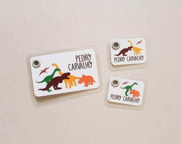 Kit Tags Plastificadas Mochila, Estojo, Lancheira Dinossauro