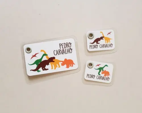 Kit Tags Plastificadas Mochila, Estojo, Lancheira Dinossauro