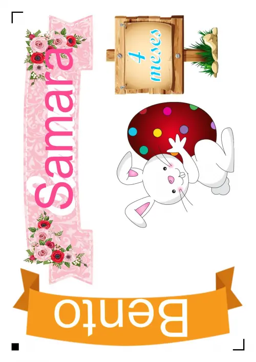 Arquivo de corte topo de bolo Ze Coleta