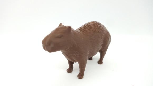 Capivara Miniatura
