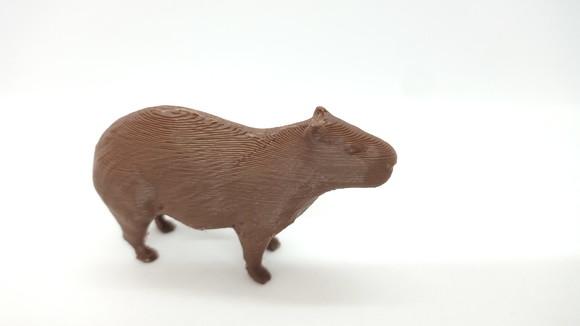 Capivara Miniatura