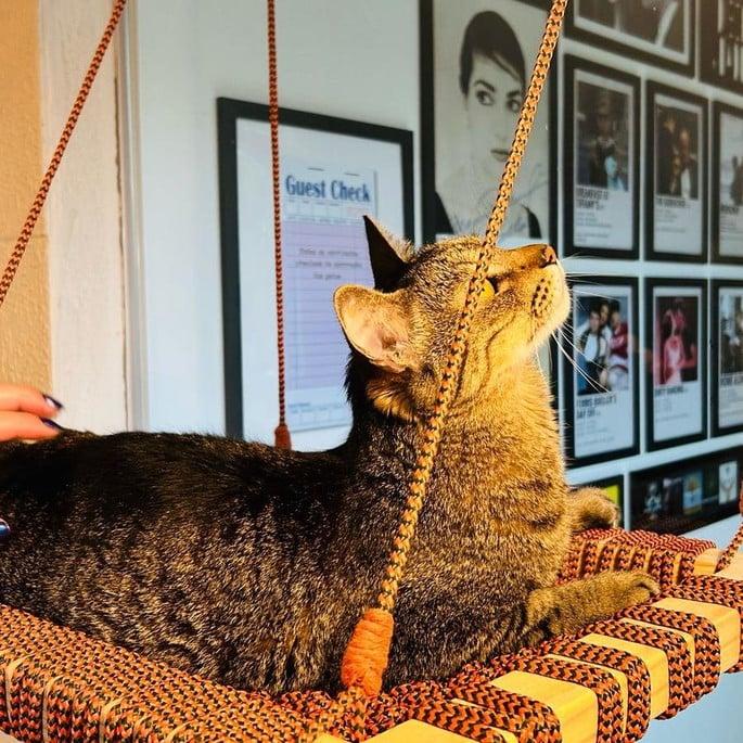 Cama de Gato Suspensa em Macramê
