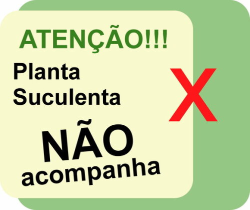 Cachepô Jardim Encantado