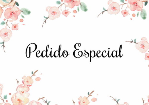 Pedido Especial Sara 70 Itens