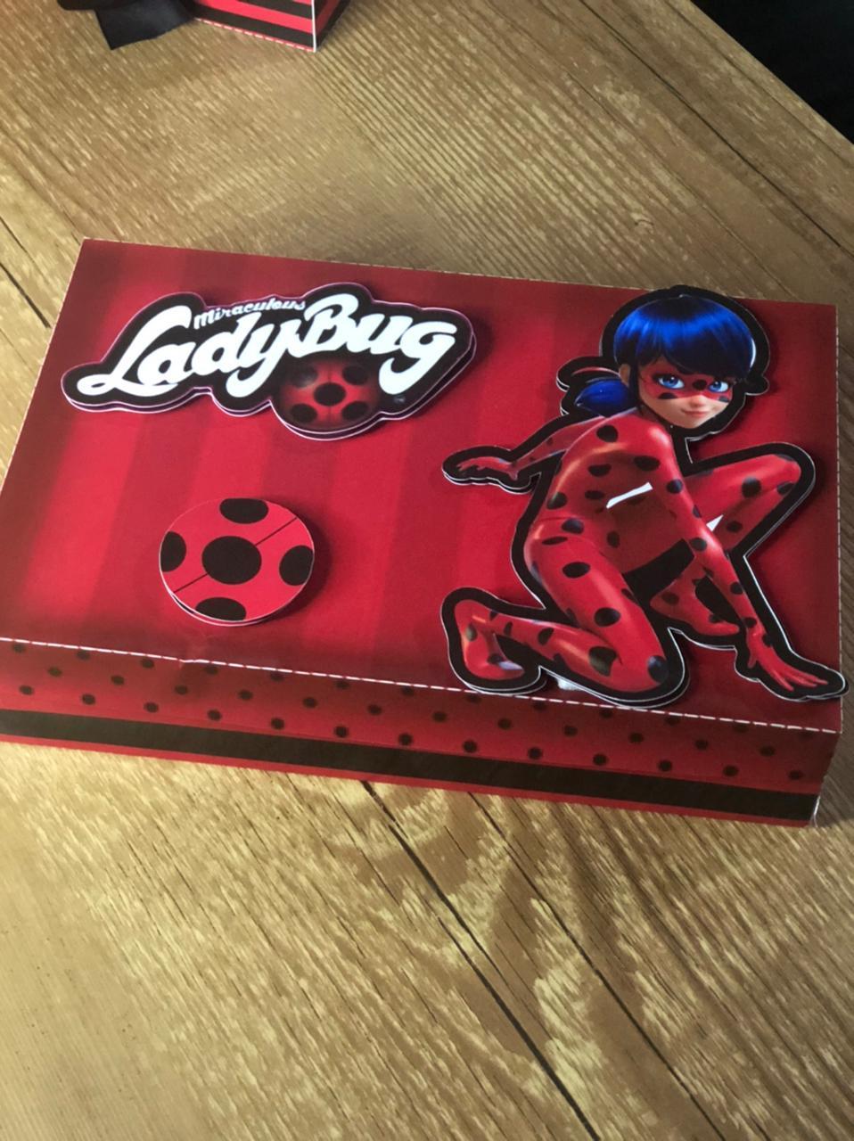 Arquivo de Corte Caixa Mini Confeiteiro Ladybug 06 - STUDIO/PDF