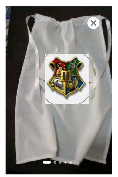 Capa Hanry Potter Howgarts em Tnt