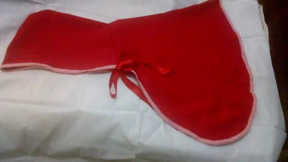 Capa lobo mau e Chapeuzinho vermelho