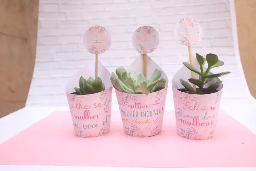 Arquivo de Corte suculenta Dia das Mulheres