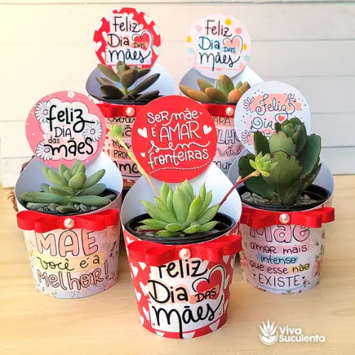 Arquivo de Corte saia suculenta dia das mães