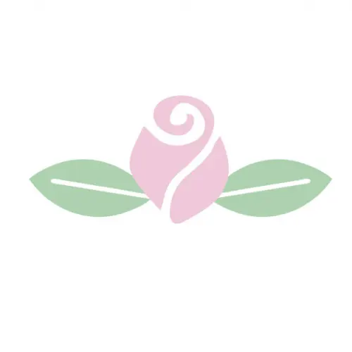 Caderno de Receitas