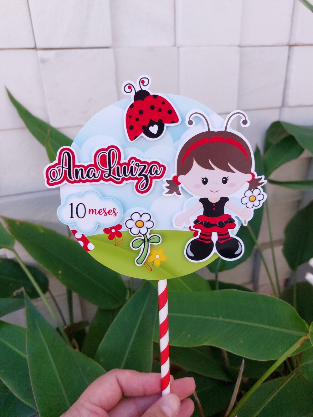 Mini Topo de bolo Joaninha