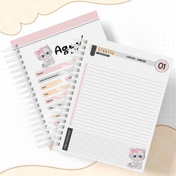 Kit Digital Volta as Aulas - Gatinha ate 2030