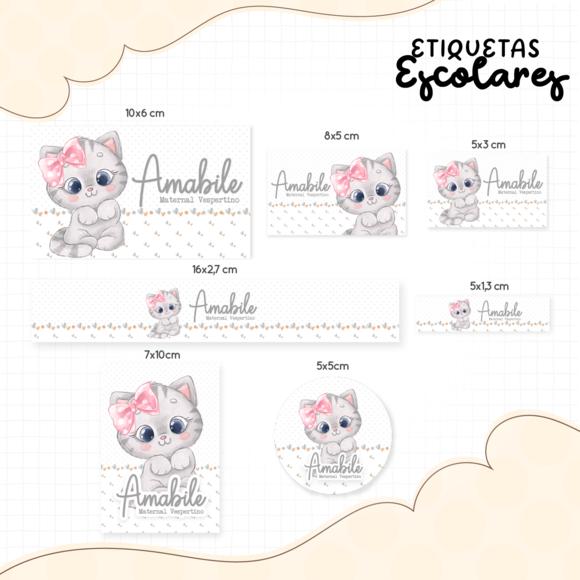 Kit Digital Volta as Aulas - Gatinha ate 2030