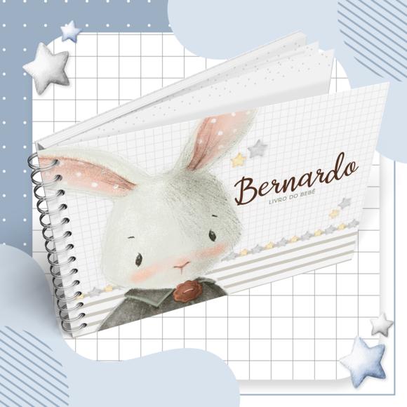 Livro do Bebê - Coelhinho 03