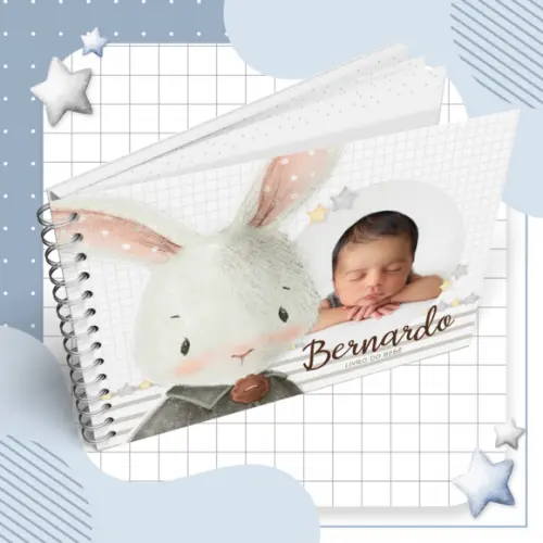 Album Mesversário - Coelhinho 03