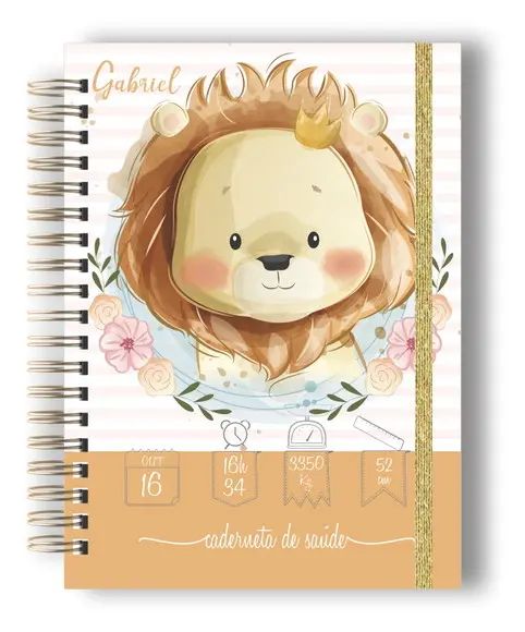 Arquivo Digital - Capa Caderneta de Vacina - Kit 02