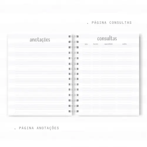 Caderneta de Vacina - Balão Menino