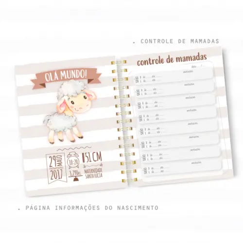 Caderneta de Vacina - Fazendinha Menino 02